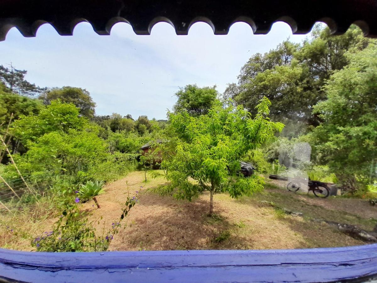 Casa Lantana Villa Figueira da Foz Luaran gambar